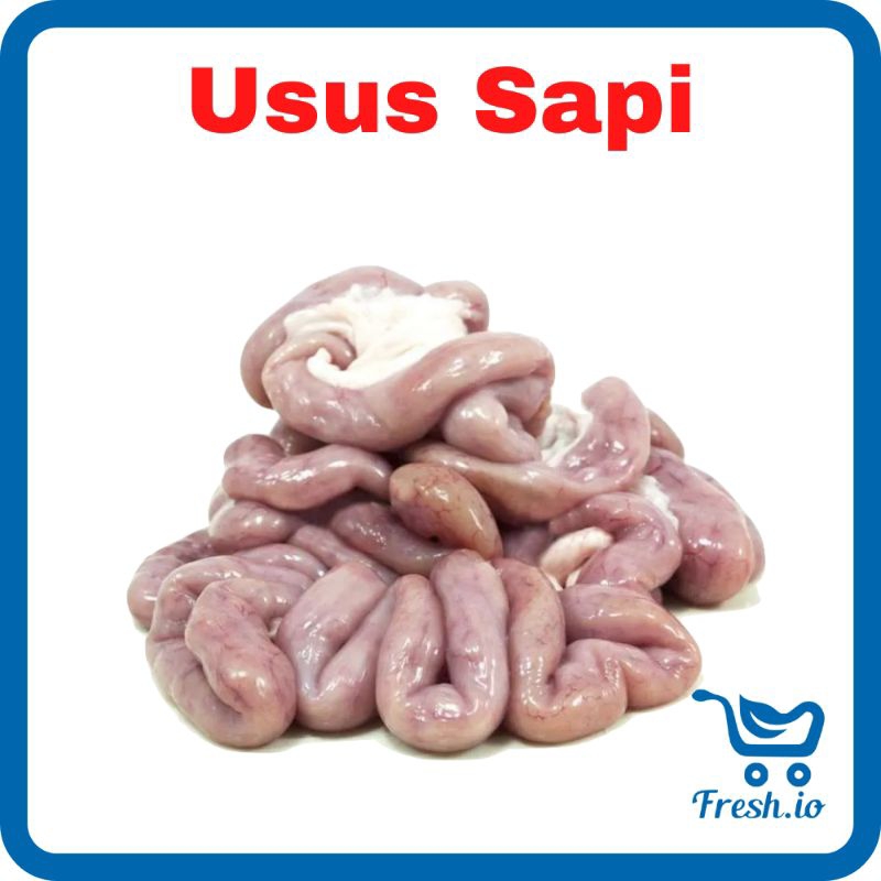 

Usus Sapi