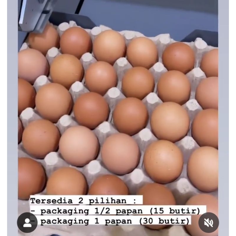 

Telur organik Omega Royal Fresh (1papan)