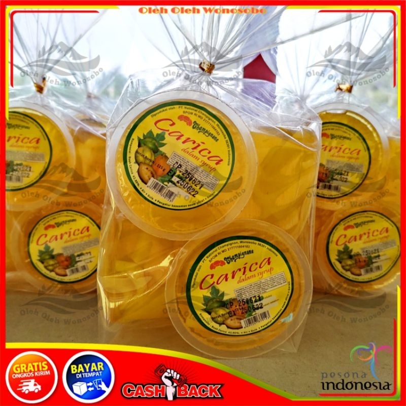 

CARICA KUNCIR KHAS DIENG