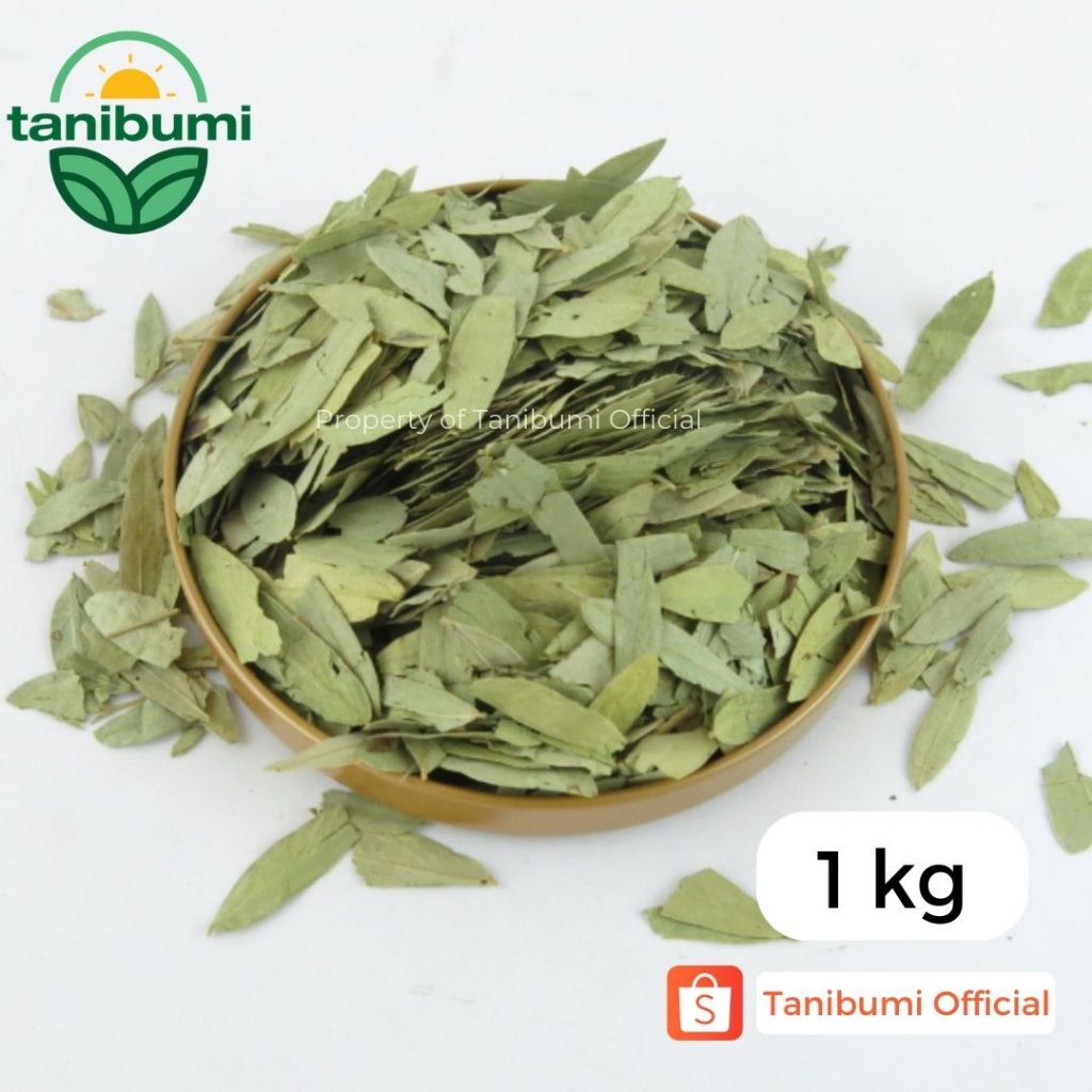 

1Kg | Termurah Daun Jati Cina | Teh Herbal Pelangsing Premium