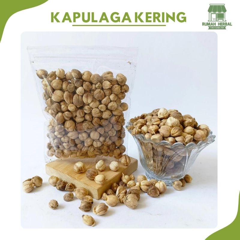 

Kapulaga Kering 500 Gram Kualitas Super