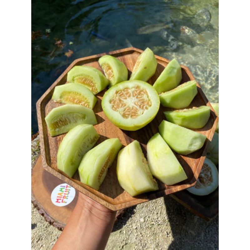 15 benih sakata sweet melon  benih melon manis dari jepang