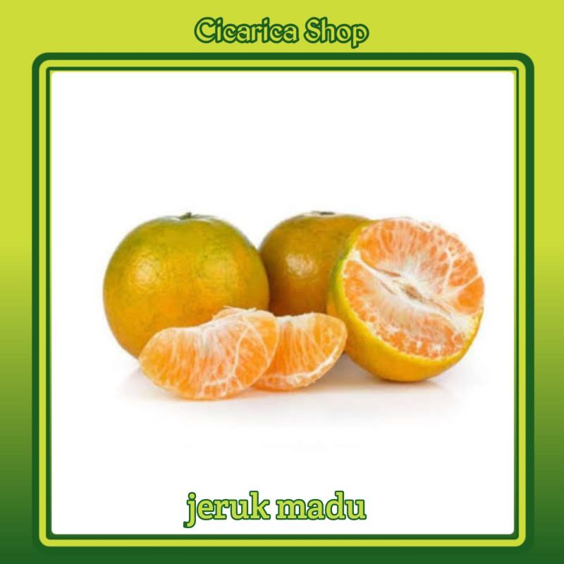 

Jeruk Madu Manis 1kg