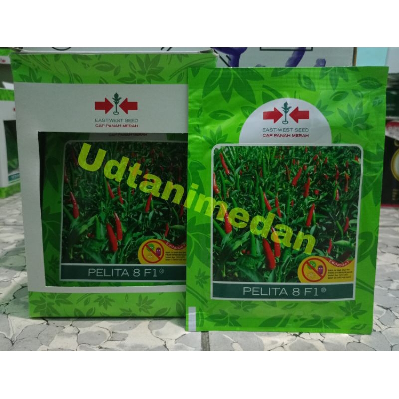 Benih Cabe Rawit Pelita 8 F1 isi 2250 butir