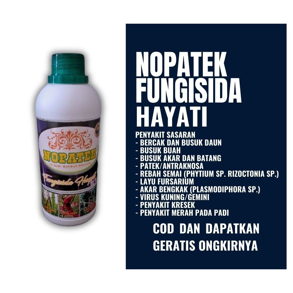 nopatek pungisida hayati obat alami keriting daun cabe, virus kuning gemini & patek cabe