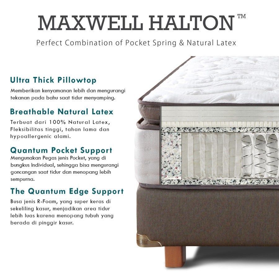 Quantum Kasur Maxwell Halton Pocket Latex Pillowtop 160x200-Kasur saja BATAM
