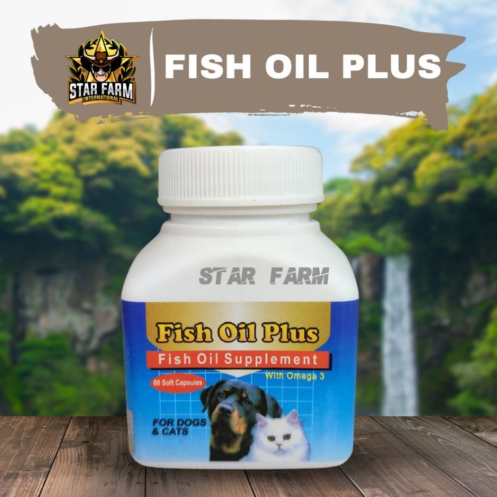 Raid All Fish Oil Plus - Suplement Minyak