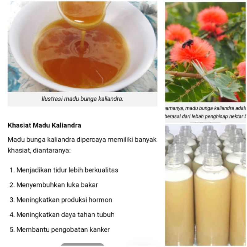 

Madu kaliandra