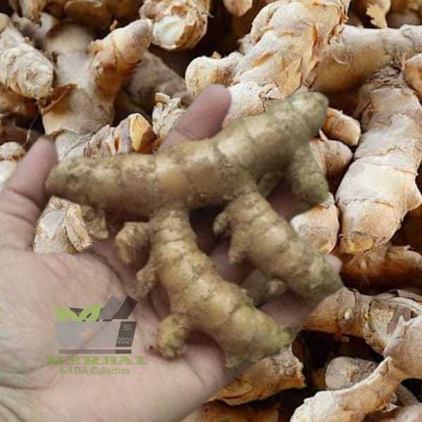 

Jual Kunyit Putih Kunir Putih Segar 300 gram