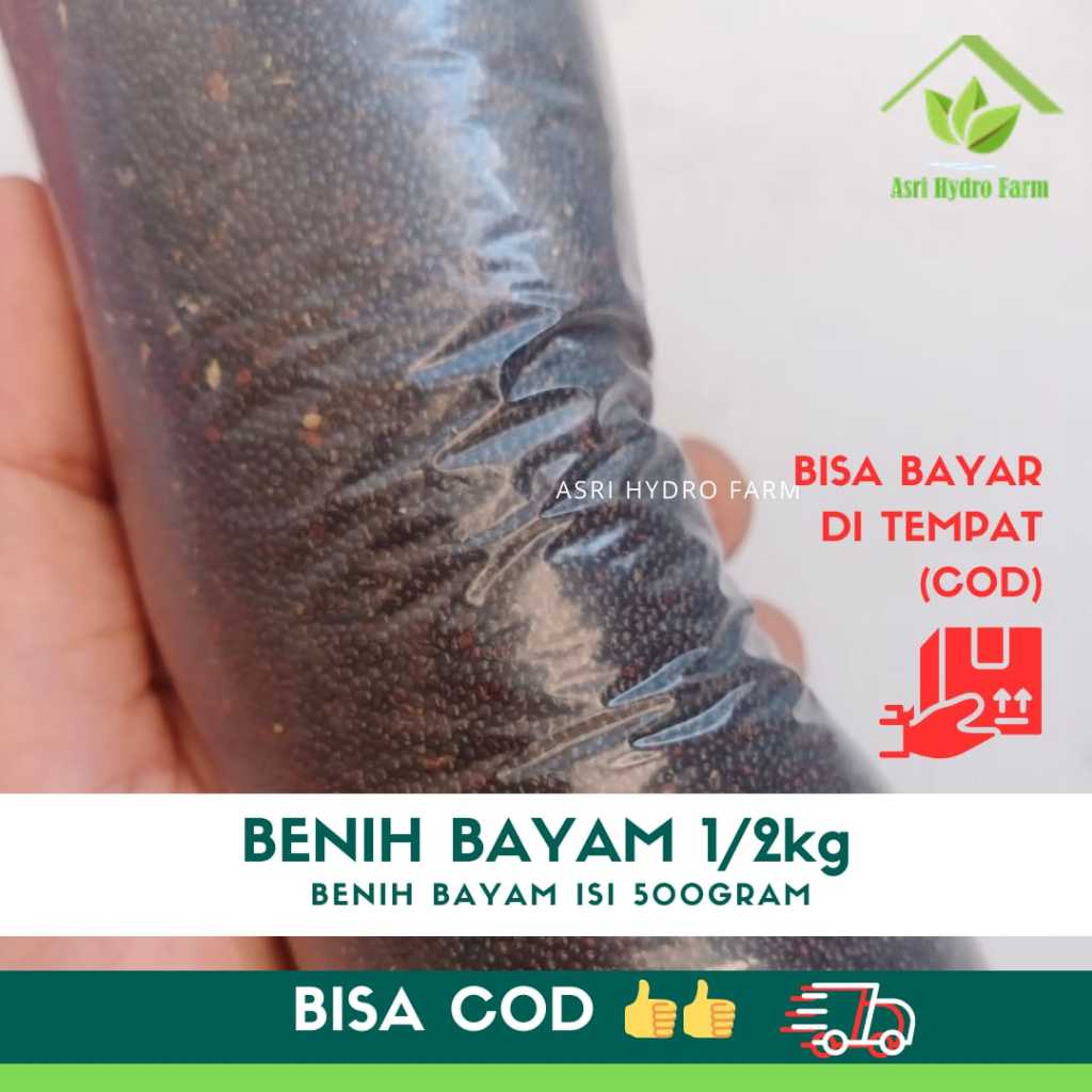 BENIH BAYAM 1/2KG / 500GRAM / 5ONS bayam cabut biji sayur bayam 1/2kg benih unggul