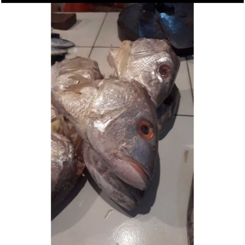 

kepala kakap putih besar2 per biji 800-900grm