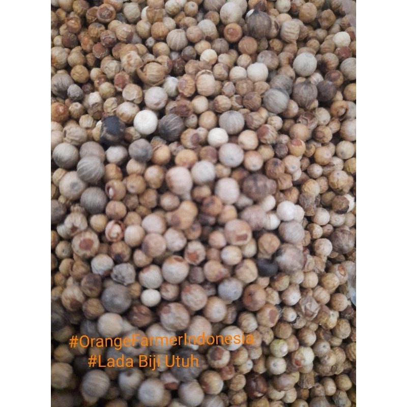 

Lada Putih Biji Utuh Original 500gram , Rempahan Tradisional