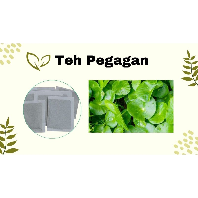 Teh Pegagan