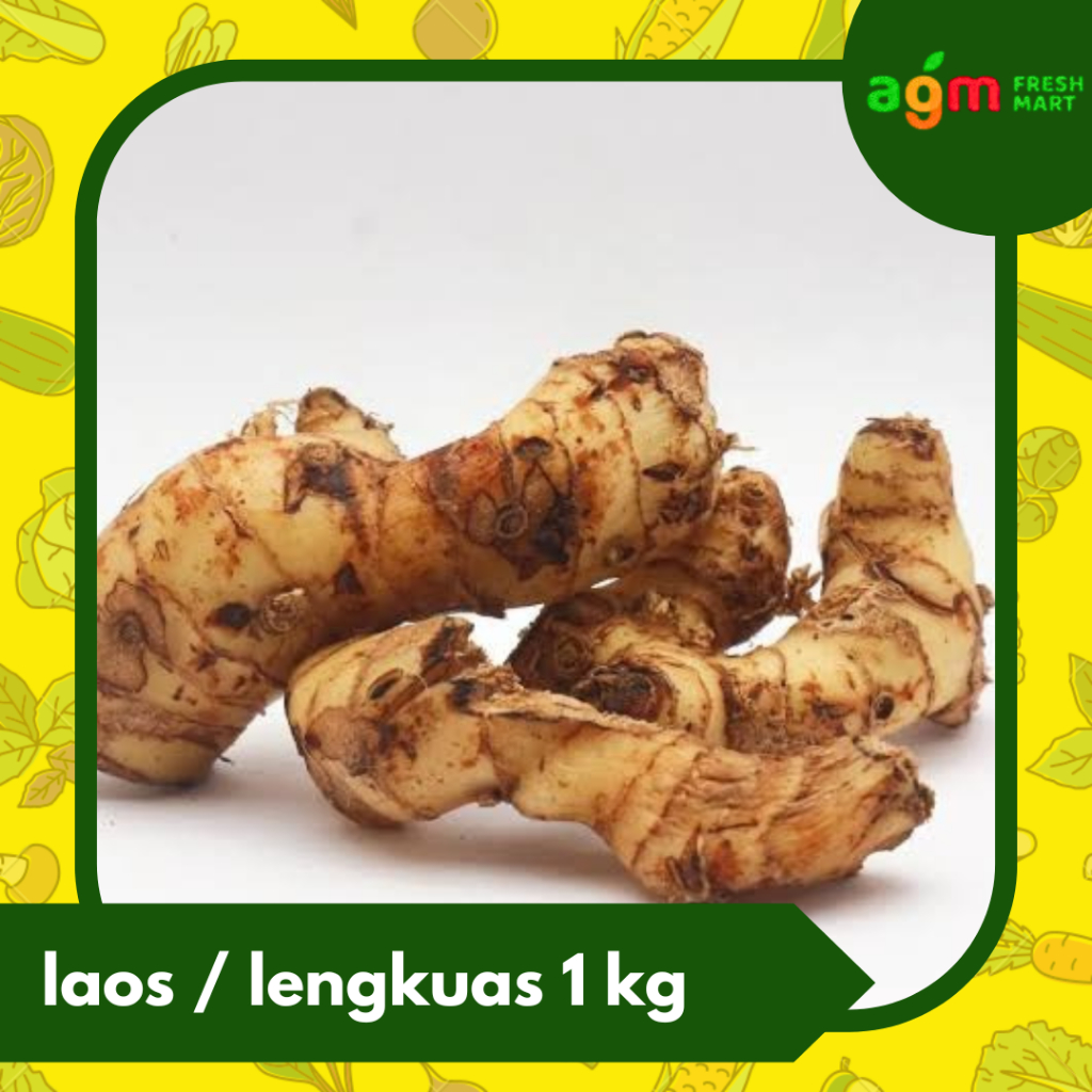 

lengkuas / Laos fresh Asli