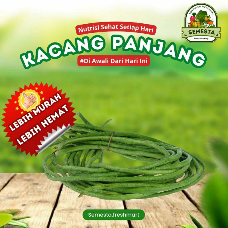 

KACANG PANJANG 250 gr - Semesta.freshmart