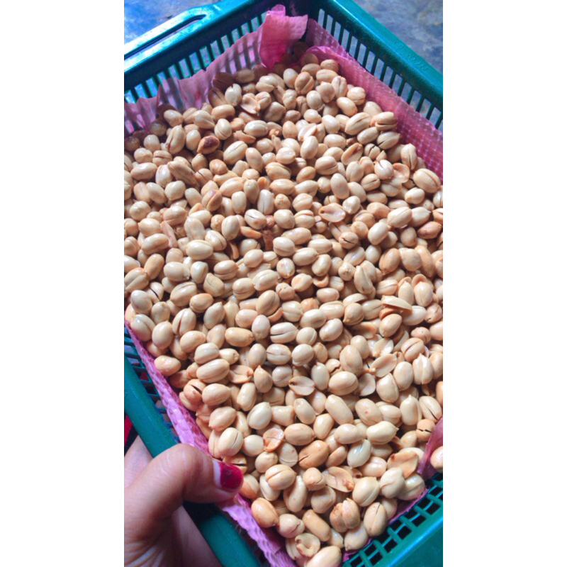 

kacang tojin
