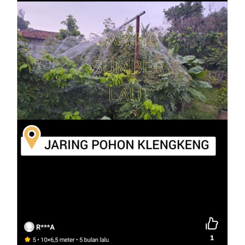 JARING POHON KLENGKENG JARING PELINDUNG BUAH KLENGKENG DARI SERANGAN HAMA KELELAWAR DAN BURUNG JARIN