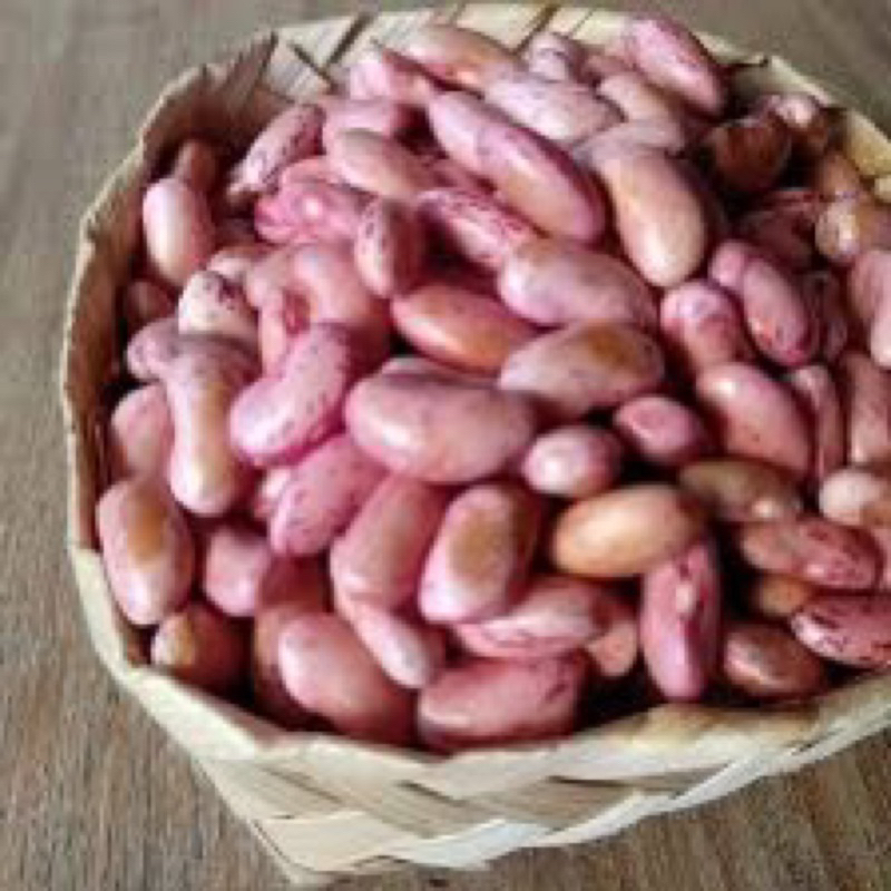 

kacang merah / ndul / rampong