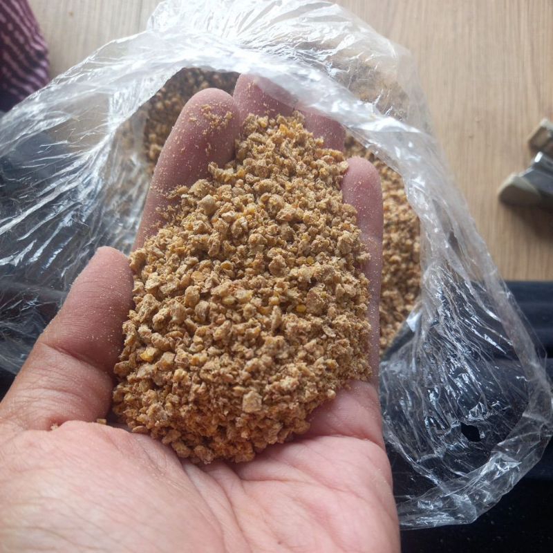 Pur Ayam Bravo 511 bisa untuk Umpan