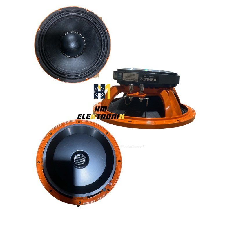 Speaker Ashley MF 1025 Speacial Midle 10inch