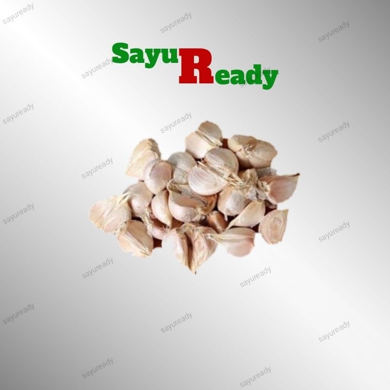 

Bawang Putih Kating