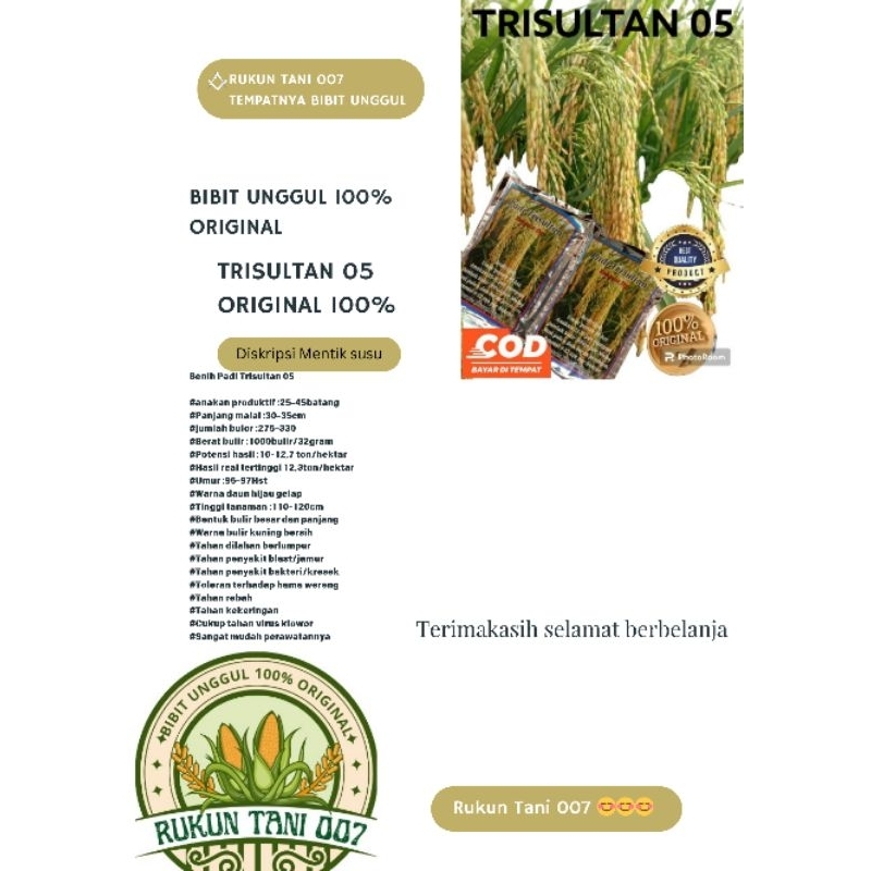 Benih Bibit Padi Trisultan 05 original berkualitas kemasan 5kg