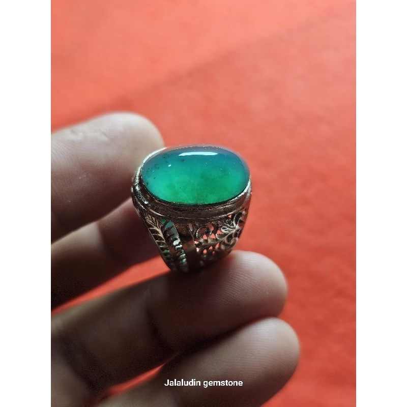 bacan doko giwang asli tanpa alas