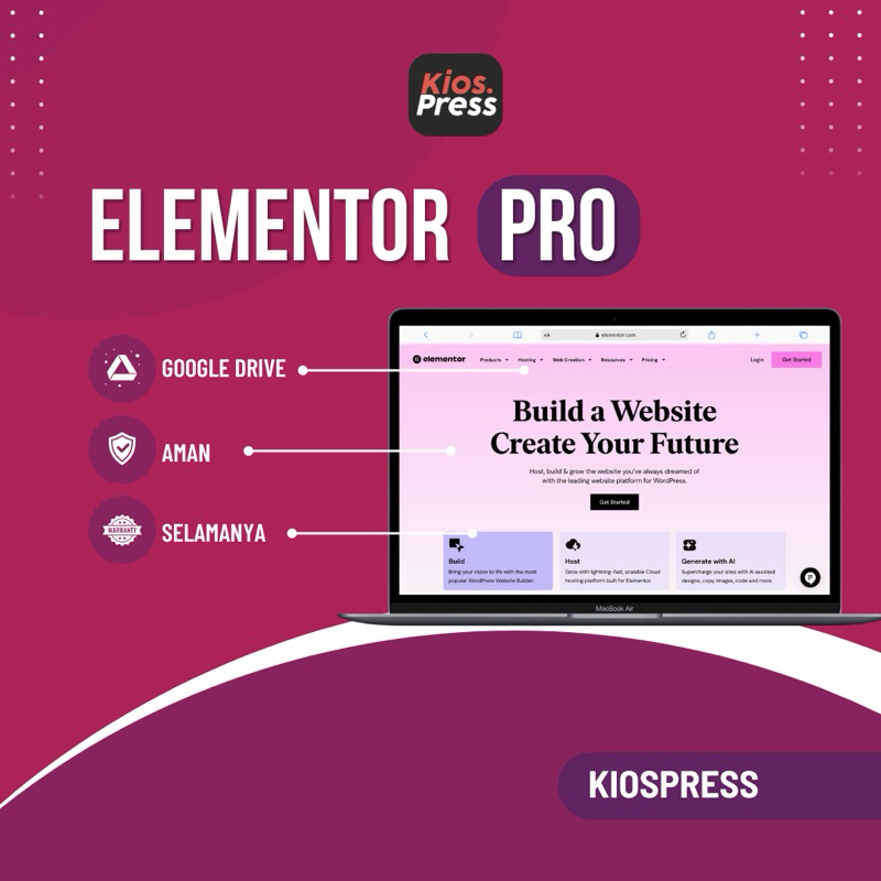 Elementor Pro Update Lifetime