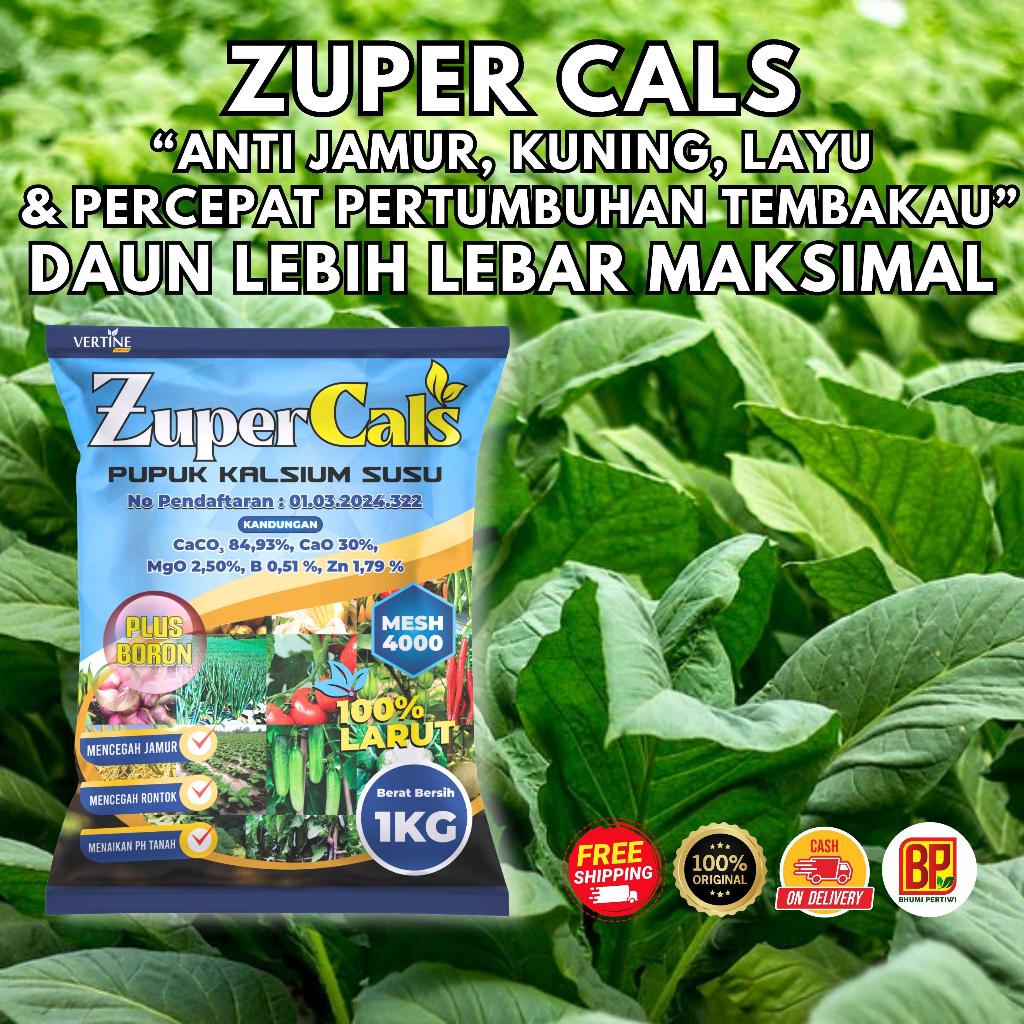 Zupercals Pupuk Kalsium+Boron Pelebat Daun Tembakau, Perlebar Daun, Percepat Pertumbuhan Anti Kuning