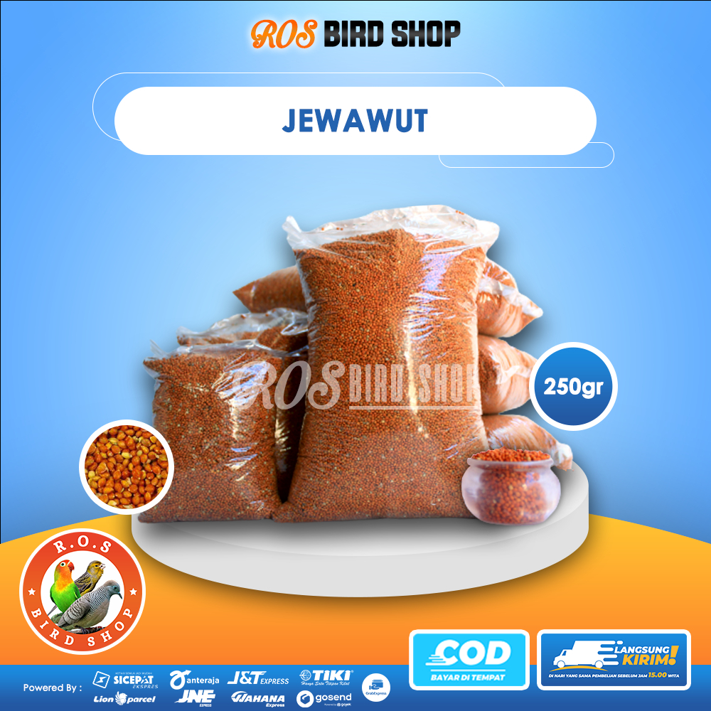 250gr Jewawut Pakan Burung PERKUTUT LOVE BIRD KENARI BERSIH Sudah Dicuci dan Ditampi