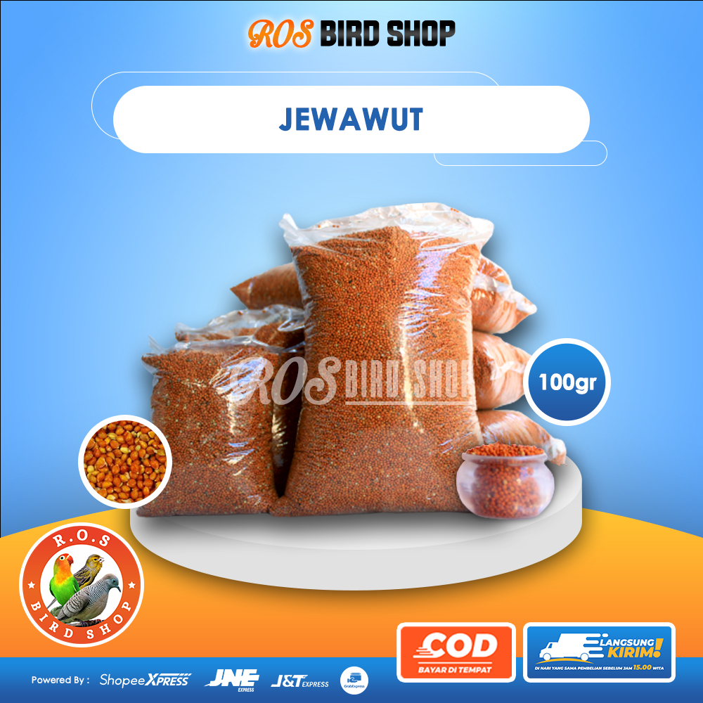 100gr Jewawut Pakan Burung PERKUTUT LOVE BIRD KENARI BERSIH Sudah Dicuci dan Ditampi