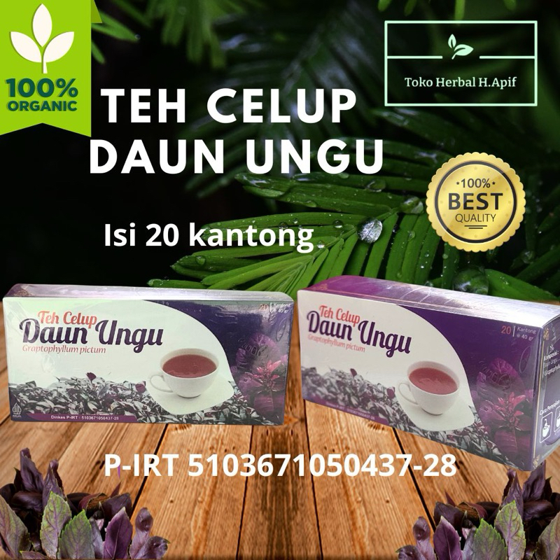 

Teh Celup Daun Ungu Obat Wasir Ambeyen 100% Original Herbal H.Apif