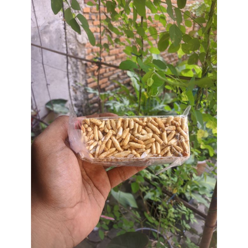 

Teng-Teng/Jipang/Brondong Jagung Enak Gurih Renyah 100gr