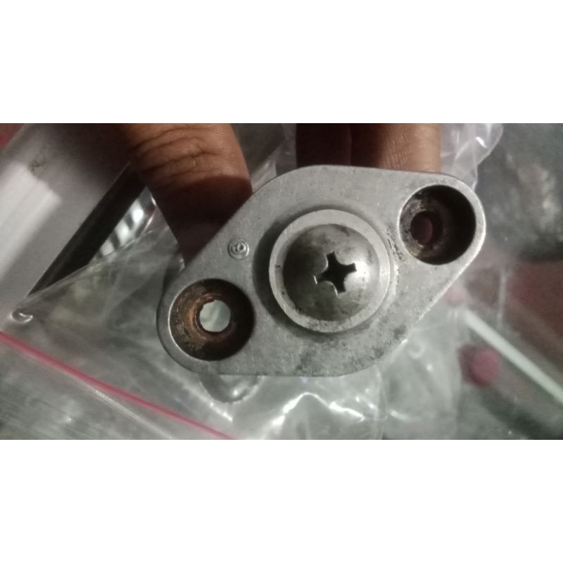 stut kamprat ORI copotan Tiger /mp