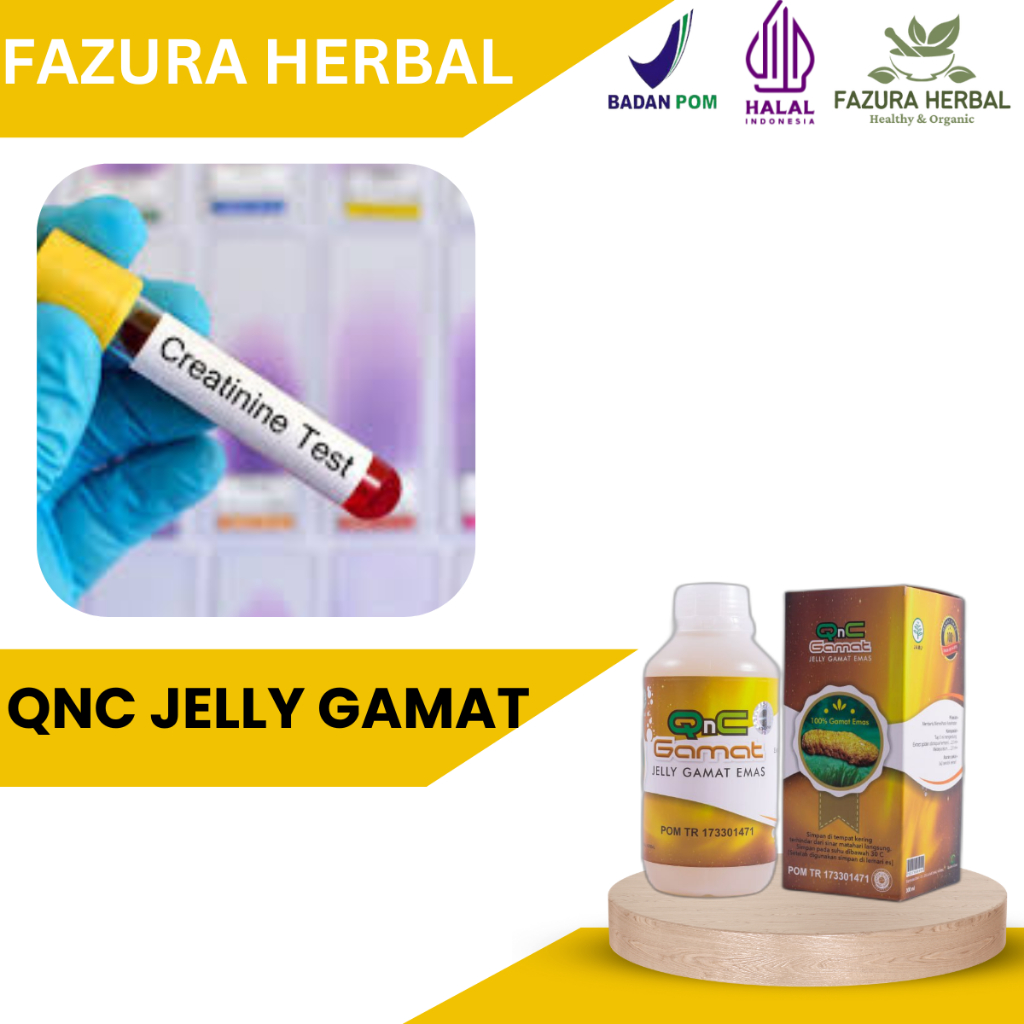 QnC Jelly Gamat - Obat Kreatinin Tinggi, Obat Penurun Kreatinin, Obat Gangguan Fungsi Ginjal