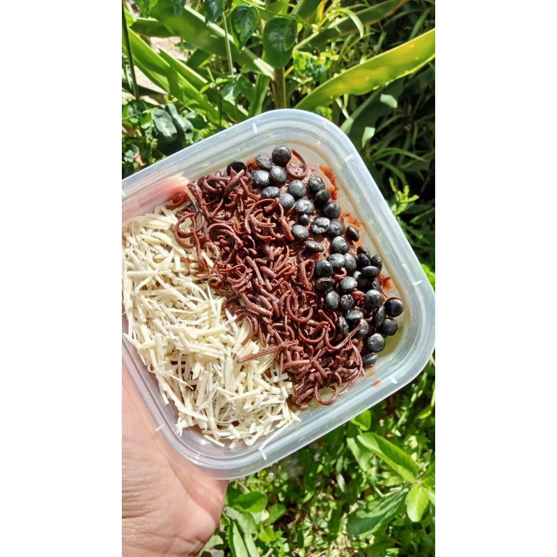 

BROWNIES LUMER -BROWNIES COKLAT LUMER-BROWNIES VARIAN RASA