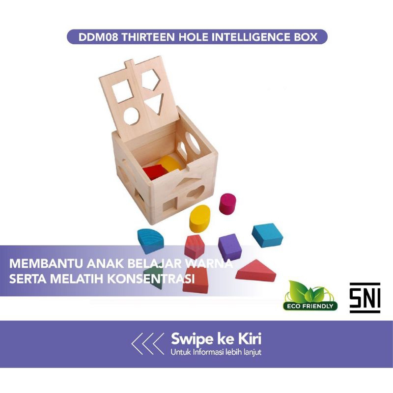 Mainan Edukasi Anak - Thirteen Hole Intelligence Box