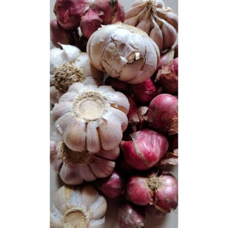 

BAWANG MERAH CAMPUR BAWANG PUTIH 250GR