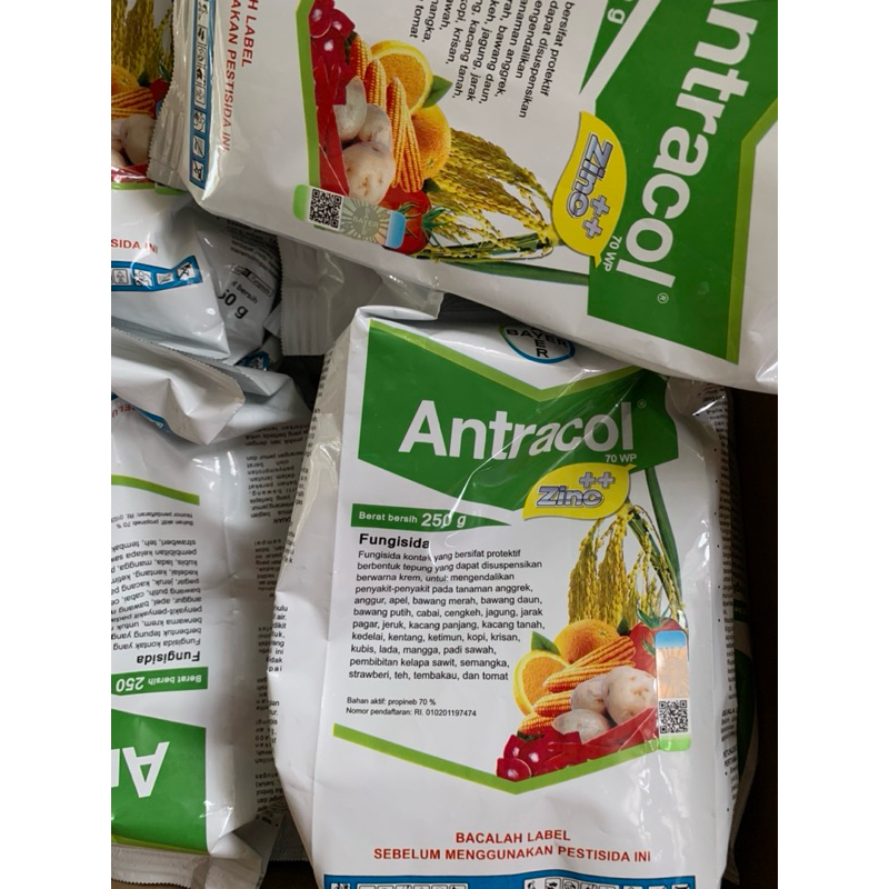 Antracol Fungisida