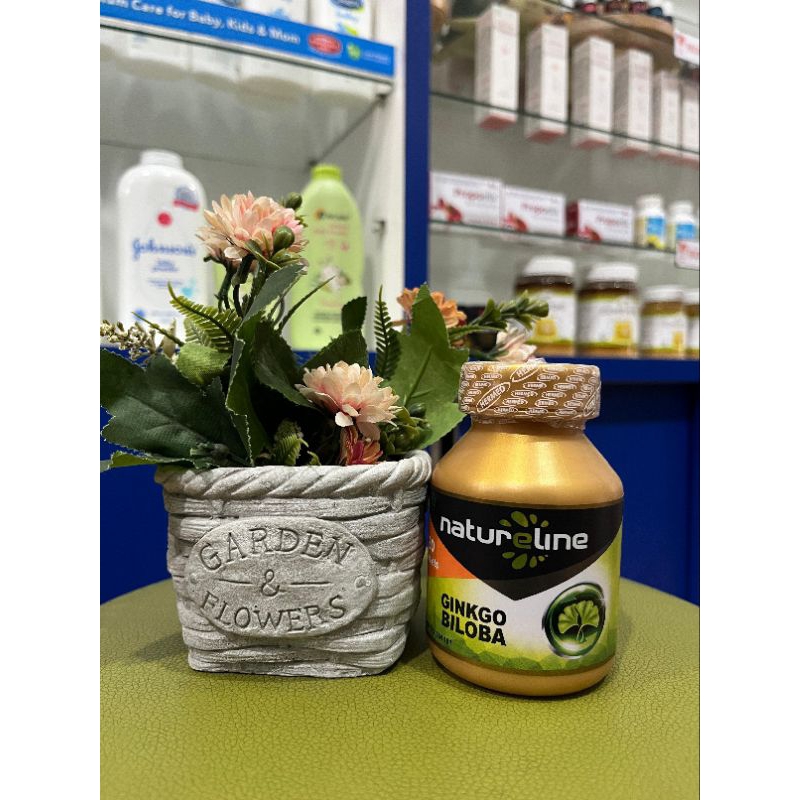 GINKGO BILOBA 30 KAPSUL