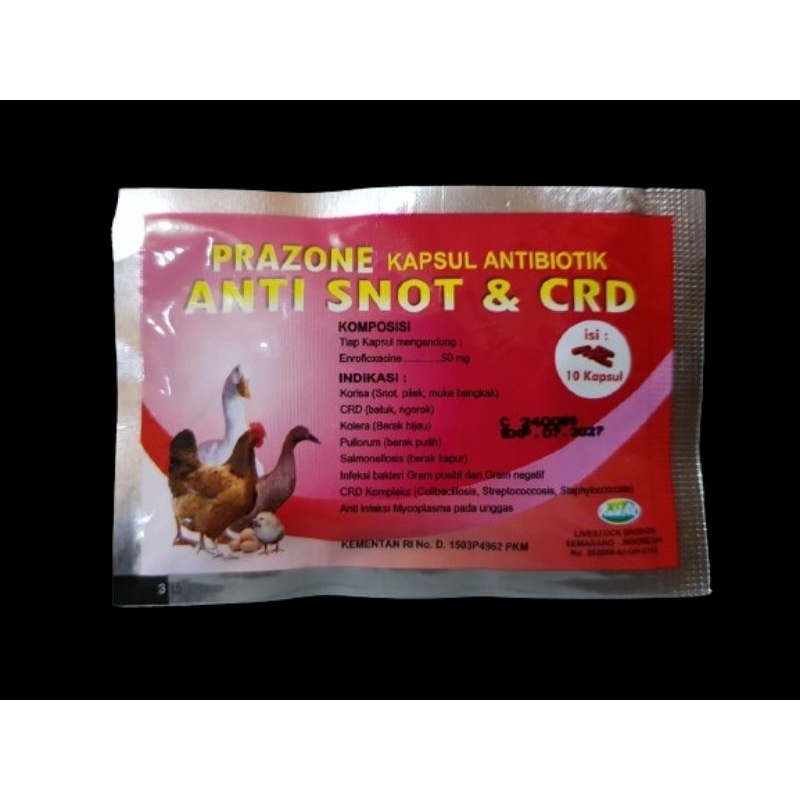 ANTI SNOT & CRD KAPSUL ANTIBIOTIK UNTUK AYAM BEBEK