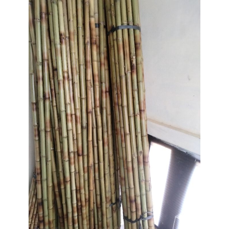 bambu lurus tongkat open bersih