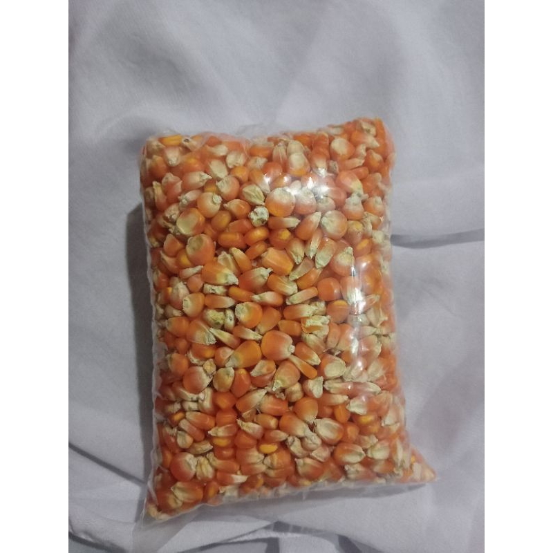 jagung pipil/grontol pakan ternak/500gr