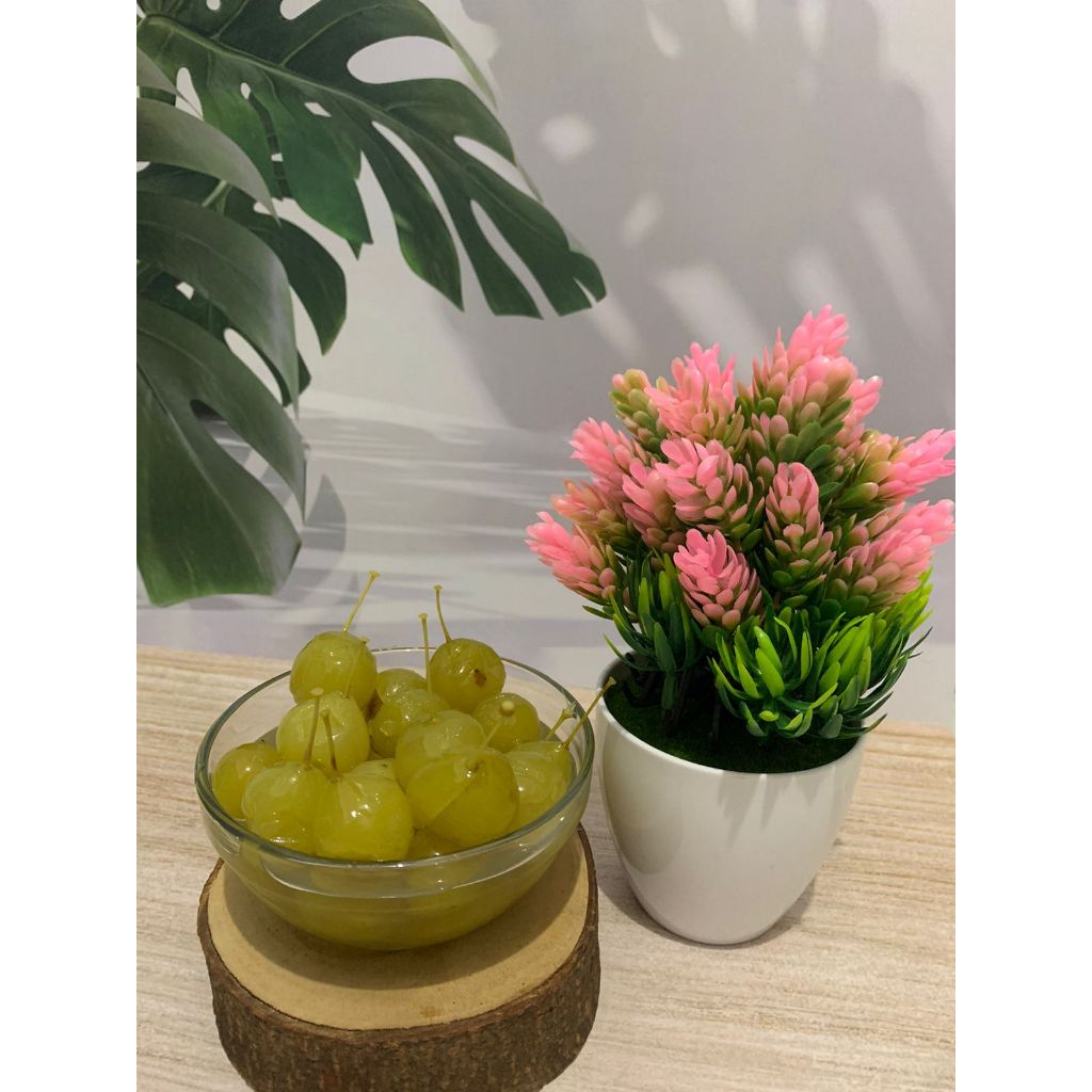 

Manisan Anggur Bogor Manis 100gr