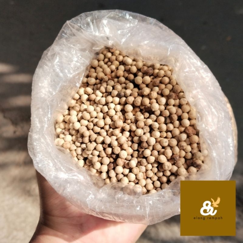 

LADA PUTIH BIJI UTUH 100 GRAM MERICA BUTIR BUMBU DAPUR