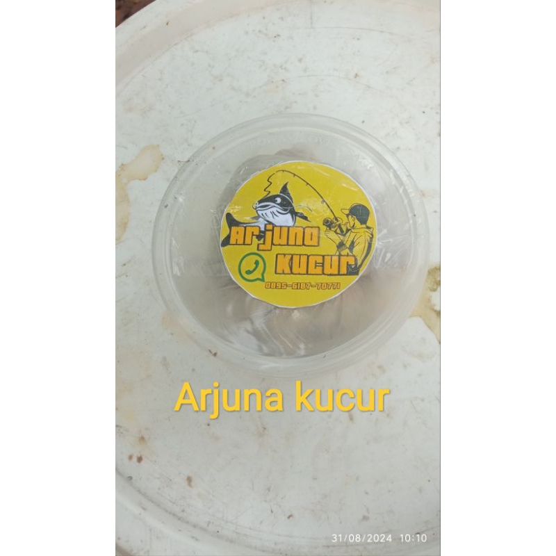 kucur