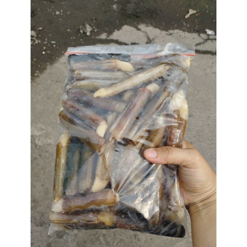 

BAMBU JUMBO KERANG LORJUK JUMBO BESAR