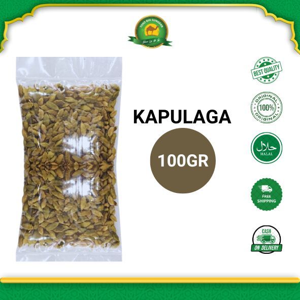

Kapulaga Arab/Kapulaga India Kapulaga Hijau kemasan 100gr