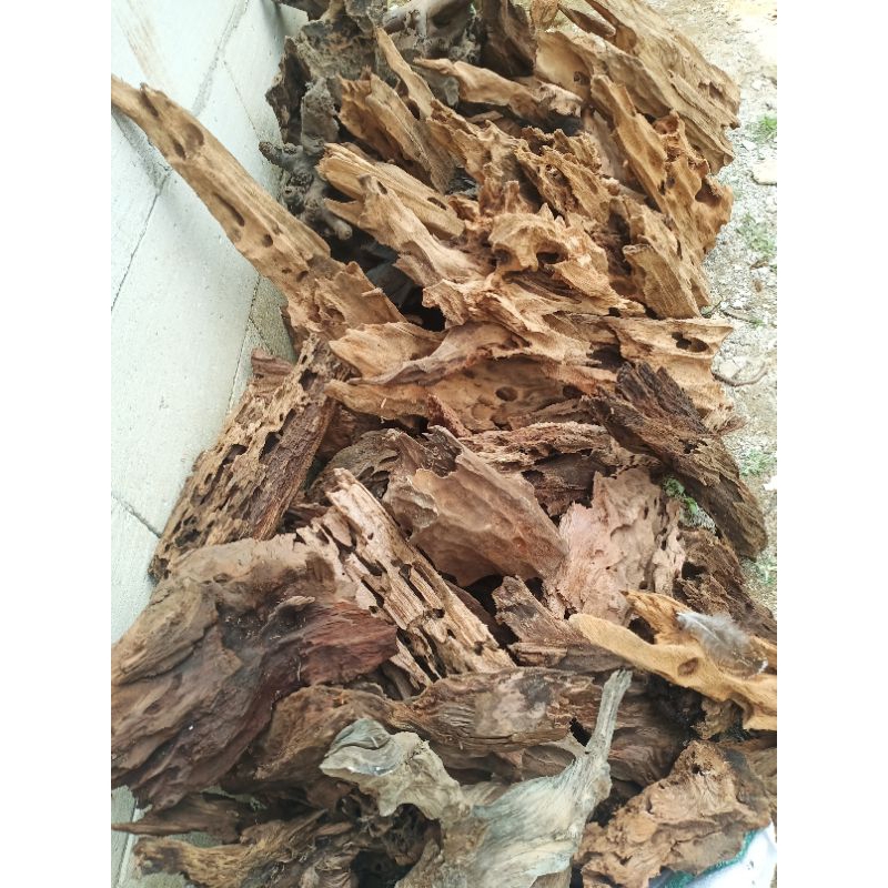 kayu rentek aquascape