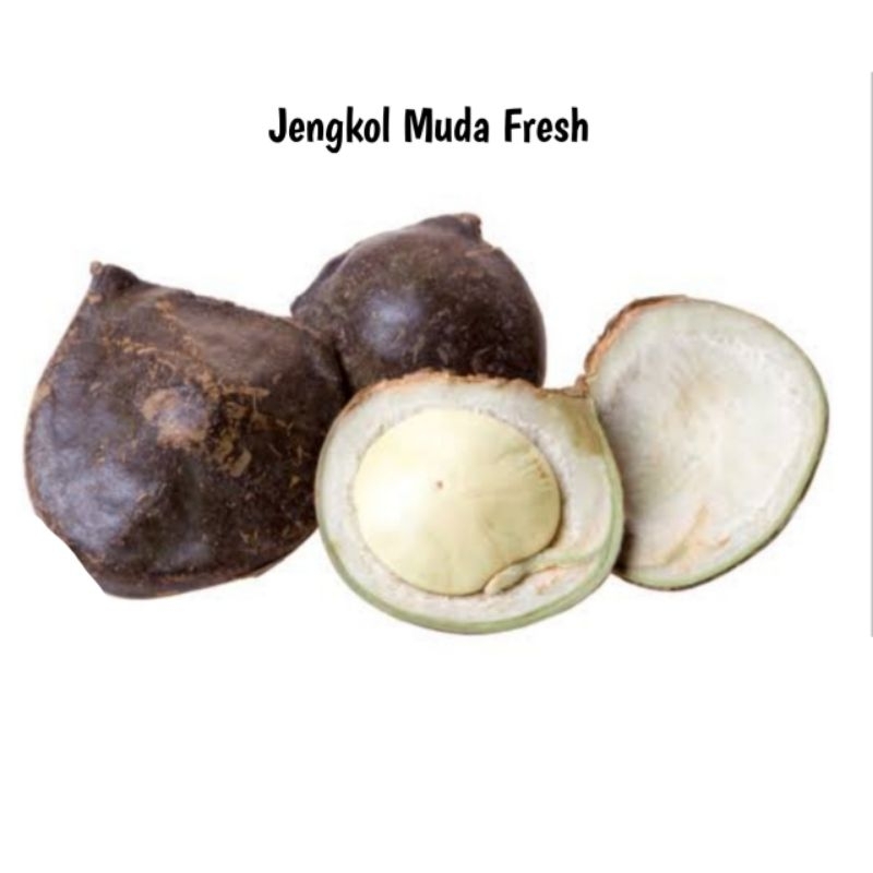 

JENGKOL MUDA LALAP 1KG/JENGKOL KULIT/JENGKOL MENTAH/JENGKOL MURAH/JENGKOL LALAP/SAYURAN SEGAR